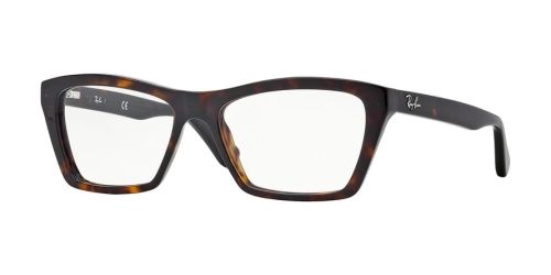 Okulary korekcyjne męskie Ray-Ban® RX5316 2012 53