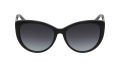 mk_2009.png
