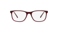 7244 1.webp