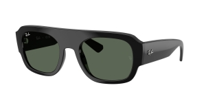 Ray-Ban® RB  RB 2218 667771 55