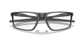 ox8183-04 2.jpg