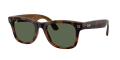 RW_0RW4011__690571__P21__noshad_02[1].png