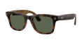 RW_0RW4011__690571__P21__noshad_05[1].png