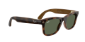 RW_0RW4011__690571__P21__noshad_06[1].png