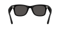 RW_0RW4011__601S87__P21__noshad_04[1].png