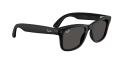 RW_0RW4011__601S87__P21__noshad_06[1].png
