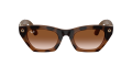 RW_0RW4015__690513__P21__noshad_01[1].png