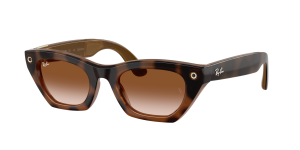 Ray-Ban Meta ZENA 0RW4015 690513 49 (Gen3)