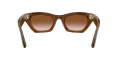 RW_0RW4015__690513__P21__noshad_04[1].png