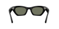 RW_0RW4015__601_9A__P21__noshad_04[1].png