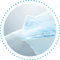 SmartShield